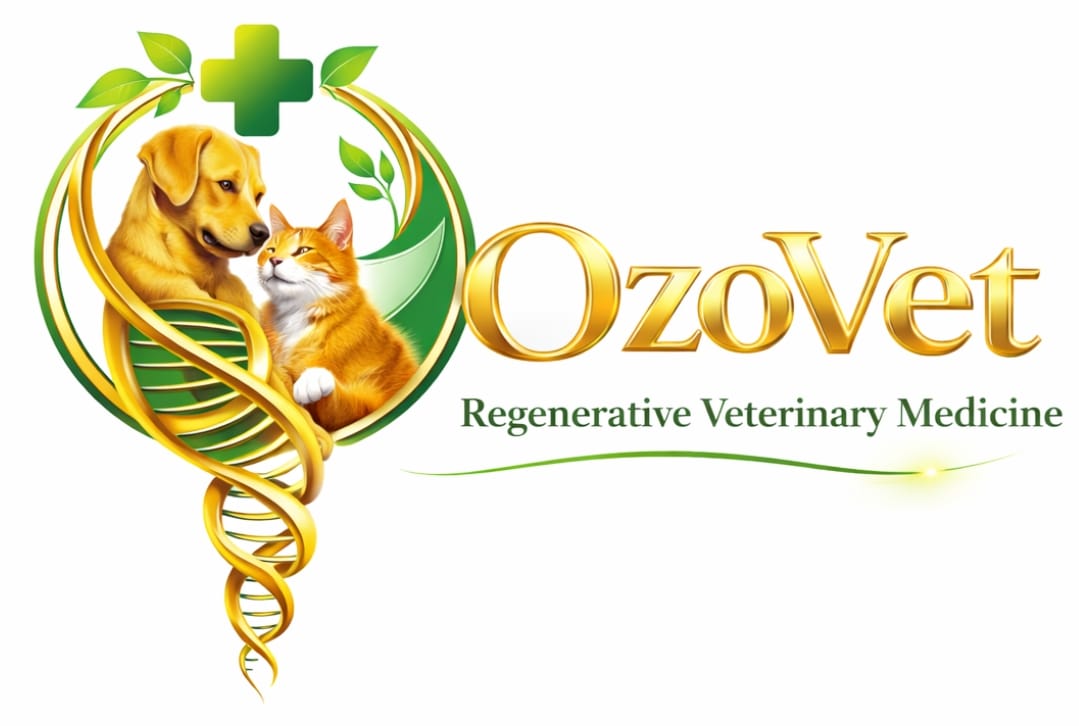 OzoVet Regenerative Veterinary Medicine