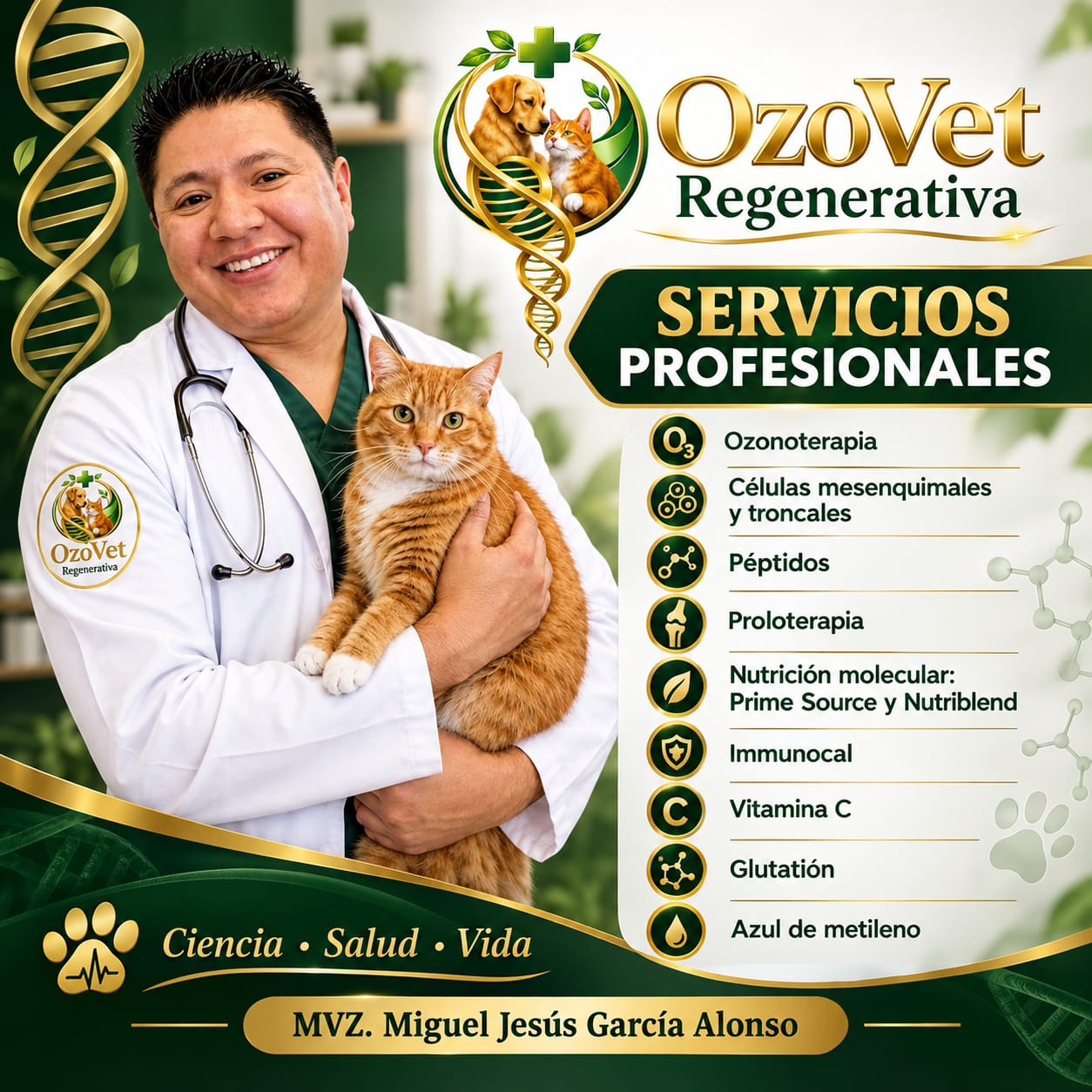 Material de OzoVet Regenerativa con el MVZ. Miguel Jesús García Alonso y un gato naranja. Servicios profesionales: ozonoterapia; células mesenquimales y troncales; péptidos; proloterapia; nutrición molecular: Prime Source y Nutriblend; Immunocal; vitamina C; glutatión; azul de metileno. Ciencia, Salud, Vida.